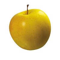 سیب زرد اقتصادی